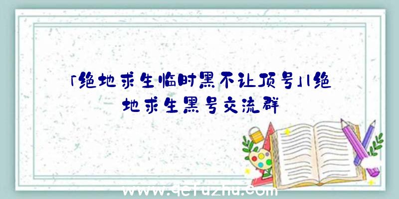 「绝地求生临时黑不让顶号」|绝地求生黑号交流群